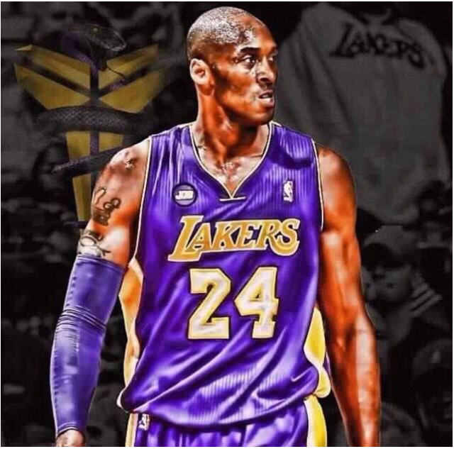 各具特色 各具特色